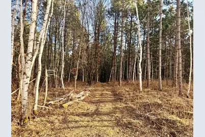 Tbd 64th Street SW, Pequot Lakes, MN 56472 - Photo 17