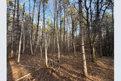 Tbd 64th Street SW, Pequot Lakes, MN 56472 - Photo 19