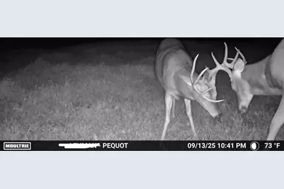 Tbd 64th Street SW, Pequot Lakes, MN 56472 - Photo 11