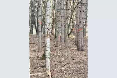 Tbd 64th Street SW, Pequot Lakes, MN 56472 - Photo 31