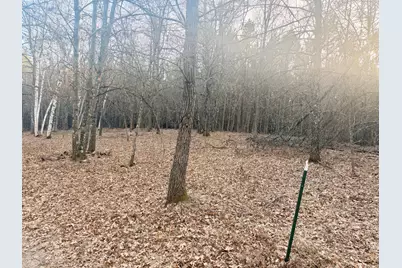 Tbd 64th Street SW, Pequot Lakes, MN 56472 - Photo 21