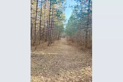 Tbd 64th Street SW, Pequot Lakes, MN 56472 - Photo 33