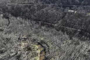 5452 Oak Forest Ln, Houston, MN 55943 - Photo 1