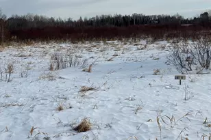 Lot 9 Irvine Ave NW, Bemidji, MN 56601 - Photo 1