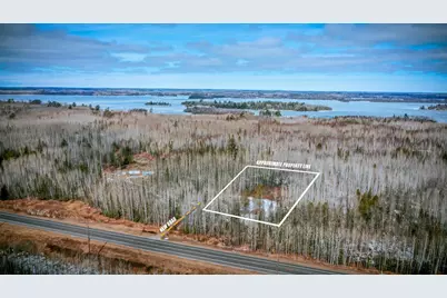 Parcel 12 Tbd Hwy 115, Tower, MN 55790 - Photo 1