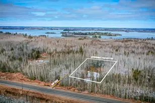 Parcel 12 Tbd Hwy 115, Tower, MN 55790 - Photo 1