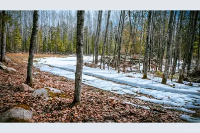 Parcel 12 Tbd Hwy 115, Tower, MN 55790 - Photo 7