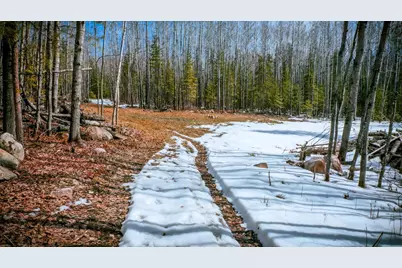 Parcel 12 Tbd Hwy 115, Tower, MN 55790 - Photo 5