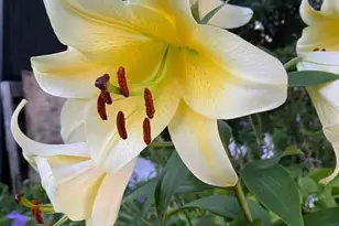 402 3rd St, Cloquet, MN 55720 - Photo 45