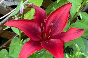 402 3rd St, Cloquet, MN 55720 - Photo 33