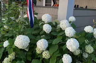 402 3rd St, Cloquet, MN 55720 - Photo 37