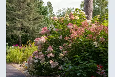 35423 County Highway 46, Park Rapids, MN 56470 - Photo 23