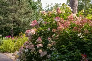 35423 Co Hwy 46, Park Rapids, MN 56470 - Photo 25