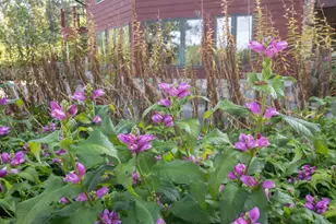 35423 Co Hwy 46, Park Rapids, MN 56470 - Photo 29