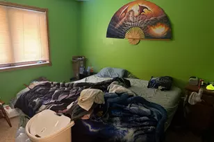 319 Peifer Dr, Litchfield, MN 55355 - Photo 5