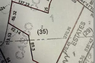 3535 Ivy Pl, Orono, MN 55391 - Photo 45