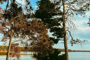 28931 Tall Moon Cir, Danbury, WI 54830 - Photo 49