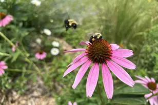 2955 Regent Ave N, Golden Valley, MN 55422 - Photo 37