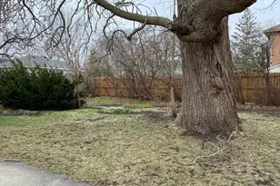 817 Abbott St, Albert Lea, MN 56007 - Photo 37