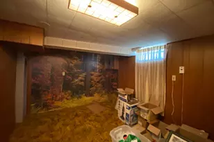 817 Abbott St, Albert Lea, MN 56007 - Photo 23