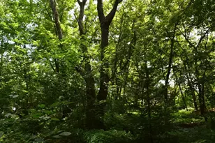 340 Perry Ct, Zumbrota, MN 55992 - Photo 11