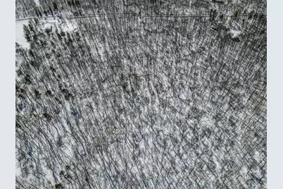 Tbd Evergreen Drive, Nevis, MN 56467 - Photo 11