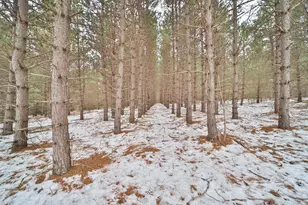 Tbd Sleepy Hollow Rd, Brainerd, MN 56449 - Photo 1