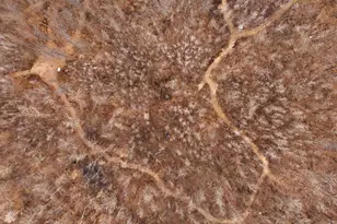 3781 Olympic St, Isle, MN 56342 - Photo 73