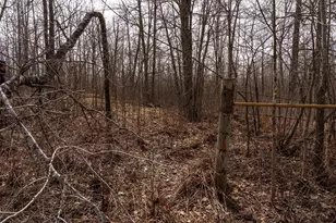 3781 Olympic St, Isle, MN 56342 - Photo 103