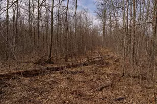 3781 Olympic St, Isle, MN 56342 - Photo 101