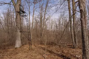 3781 Olympic St, Isle, MN 56342 - Photo 69