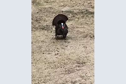 3781 Olympic Street, Isle, MN 56342 - Photo 77