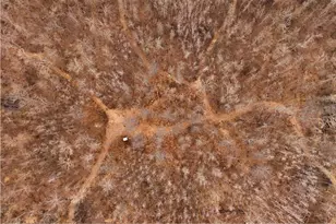 3781 Olympic St, Isle, MN 56342 - Photo 59