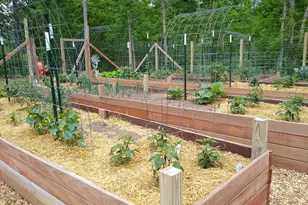 3781 Olympic St, Isle, MN 56342 - Photo 85