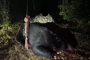 3781 Olympic St, Isle, MN 56342 - Photo 61