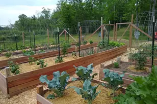 3781 Olympic St, Isle, MN 56342 - Photo 83