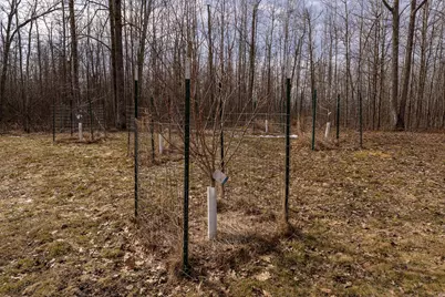 3781 Olympic Street, Isle, MN 56342 - Photo 51