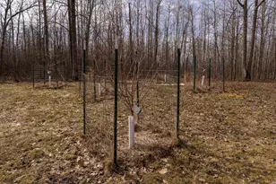 3781 Olympic St, Isle, MN 56342 - Photo 51