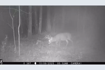 3781 Olympic Street, Isle, MN 56342 - Photo 63