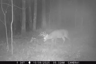 3781 Olympic St, Isle, MN 56342 - Photo 63