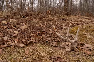 3781 Olympic St, Isle, MN 56342 - Photo 53