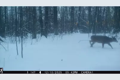 3781 Olympic Street, Isle, MN 56342 - Photo 65