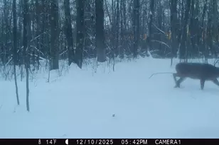 3781 Olympic St, Isle, MN 56342 - Photo 65