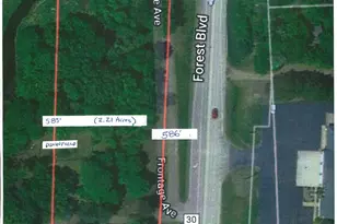 307Xx Forest Blvd, Stacy, MN 55079 - Photo 1