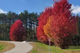 4039 Mallard Pl SE, Rochester, MN 55904 - Photo 39