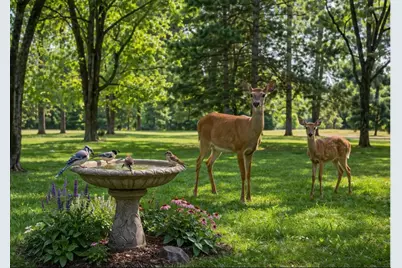 3212 Bunker Lake Boulevard NE, Ham Lake, MN 55304 - Photo 1