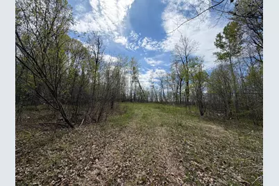 51265 Vagabond Loop, Bemidji, MN 56601 - Photo 5