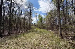 51265 Vagabond Loop, Bemidji, MN 56601 - Photo 1