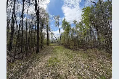 51265 Vagabond Loop, Bemidji, MN 56601 - Photo 3