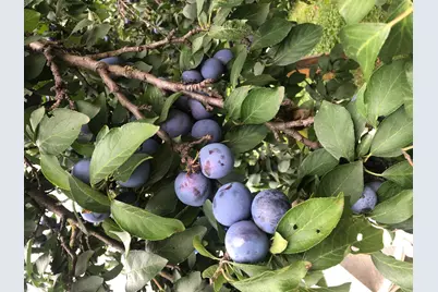 4748 Blaisdell Avenue, Minneapolis, MN 55419 - Photo 37